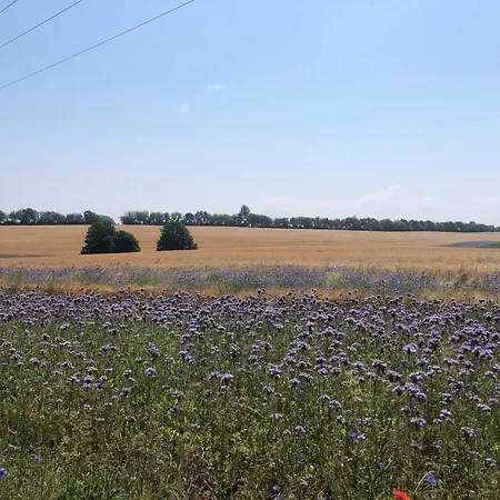 Appartement Scheffler