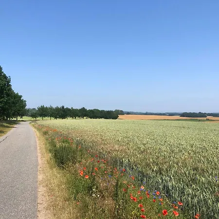 Scheffler Putbus